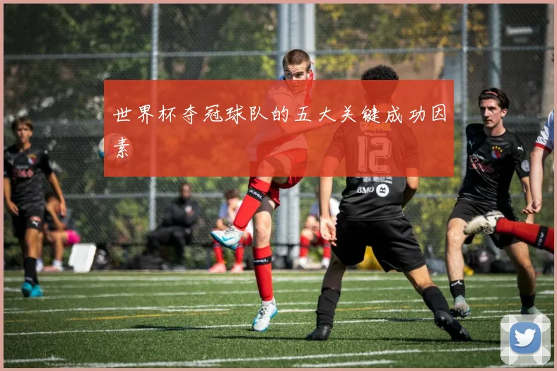 世界杯夺冠球队的五大关键成功因素